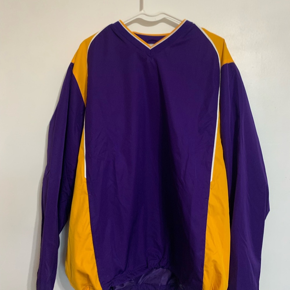 Purple and Gold V-Neck Pullover